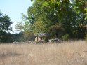 2016-09-20 10-47-54 Vallee du Cele JLe